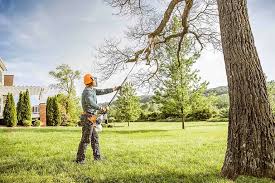 How Our Tree Care Process Works  in  Port Byron, IL